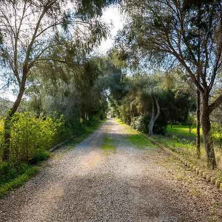 La Mansarda Nel Parco *